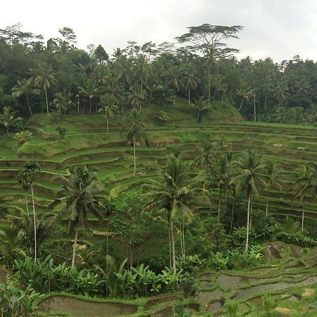 Pangkung House Lägenhet Ubud Exteriör bild