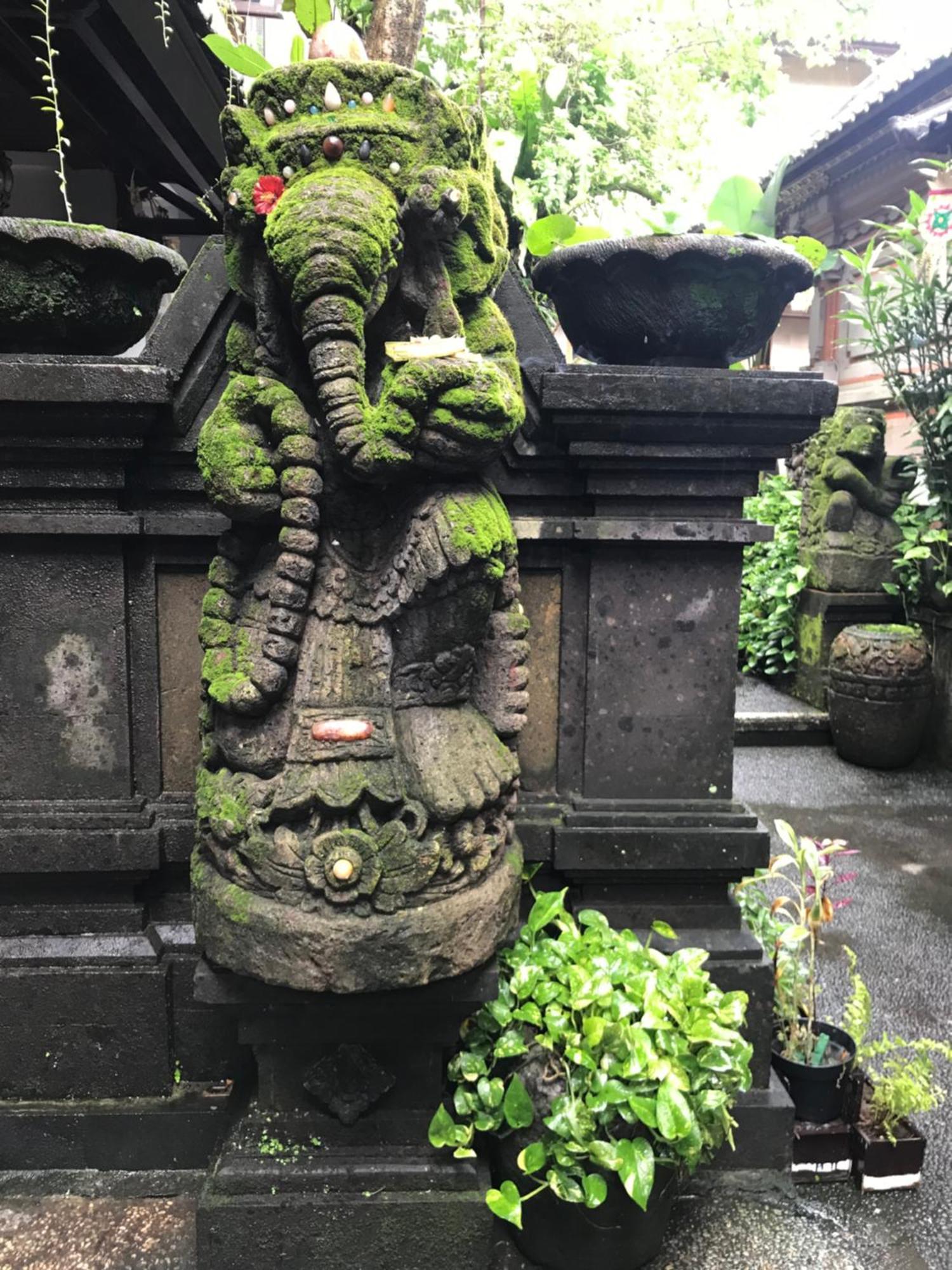 Pangkung House Lägenhet Ubud Exteriör bild
