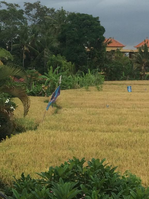 Pangkung House Lägenhet Ubud Exteriör bild